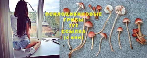 трава Алексеевка