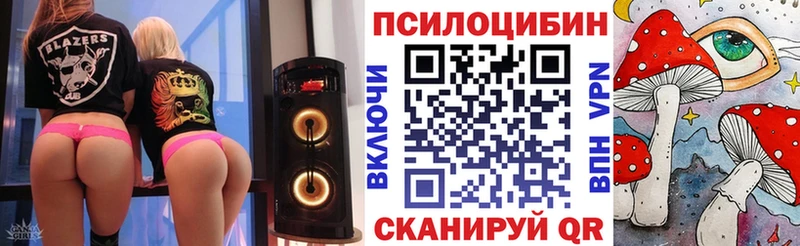 гидра ТОР  закладки  Курчалой  Галлюциногенные грибы Magic Shrooms 