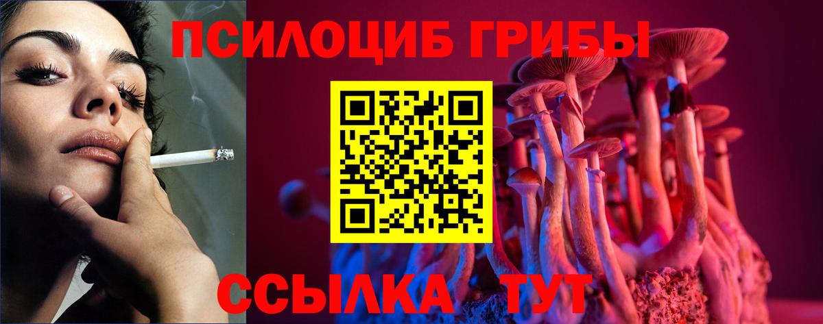 Псилоцибиновые грибы прущие грибы Курчалой