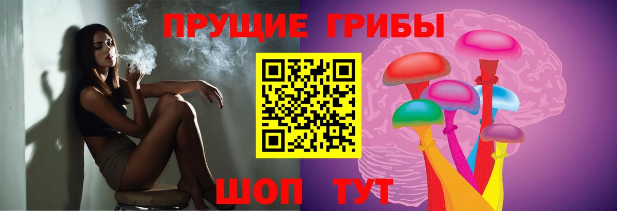Курчалой  Псилоцибиновые грибы мицелий  Вход с VPN 
