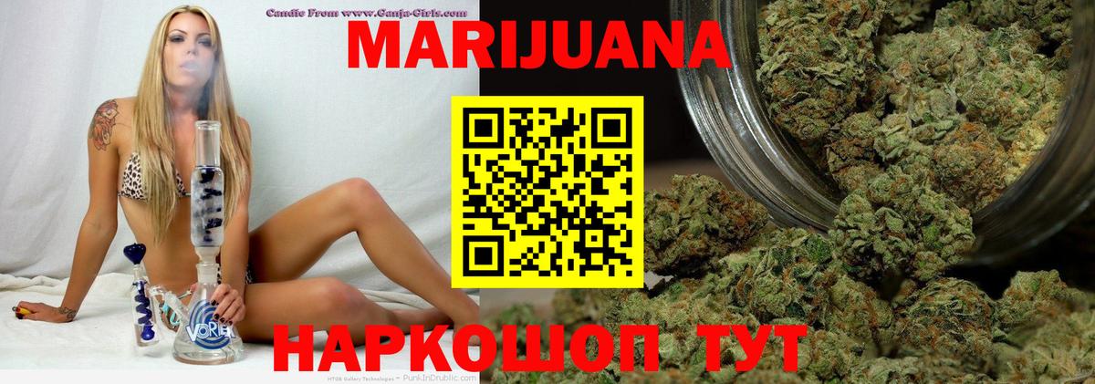 Канабис семена  Вход с VPN  Каннабис сатива  Курчалой  Бошки Шишки семена  Каннабис гибрид 
